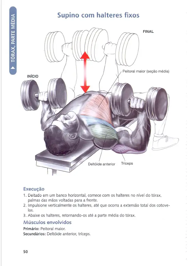 Anatomia da musculaÇÃo by nick evans pdf 01