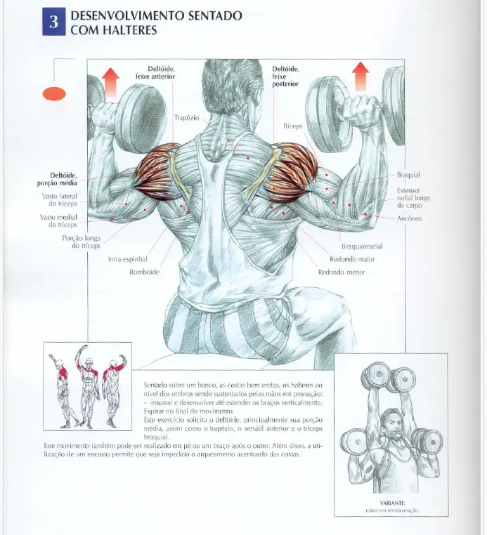 Frederic delavier guia dos movimentos de musculaÇÃo pdf 02
