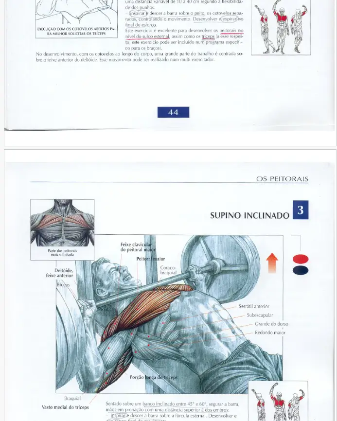 Frederic delavier guia dos movimentos de musculaÇÃo pdf 03