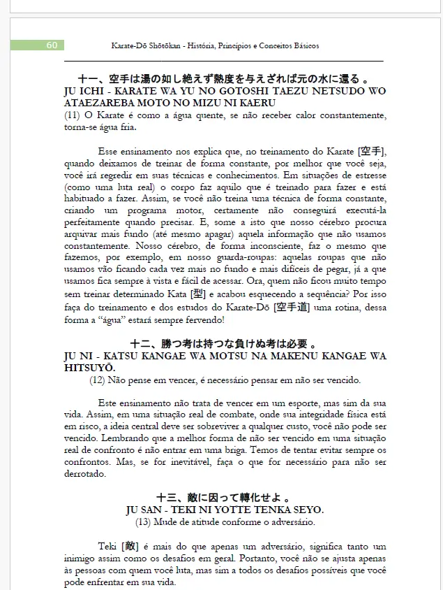 JosÉ erasmo o. junior karate do shotokan pdf 2