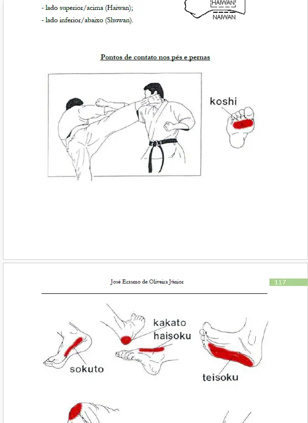 JosÉ erasmo o. junior karate do shotokan pdf 3