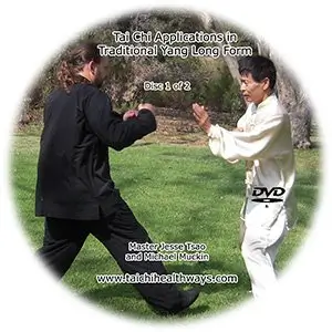 Tai chi application in traditional yang style long form [disc1] cover