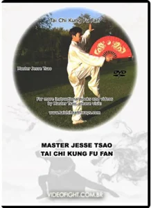 Tai chi kung fu fan