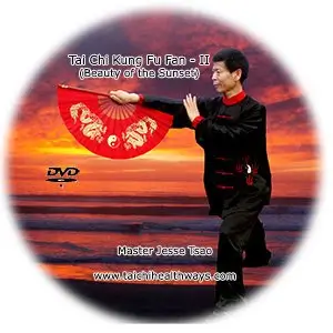 Tai chi kung fu fan ii beauty of the sunset (xiyangmei) cover