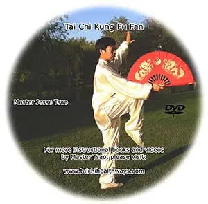Tai chi kung fu fan cover