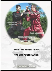 Tai chi push hands