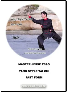 Yang style tai chi fast form
