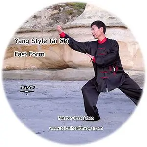 Yang style tai chi fast form cover