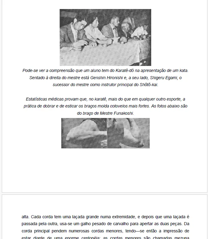 Captura de tela 2025 06 04 143133