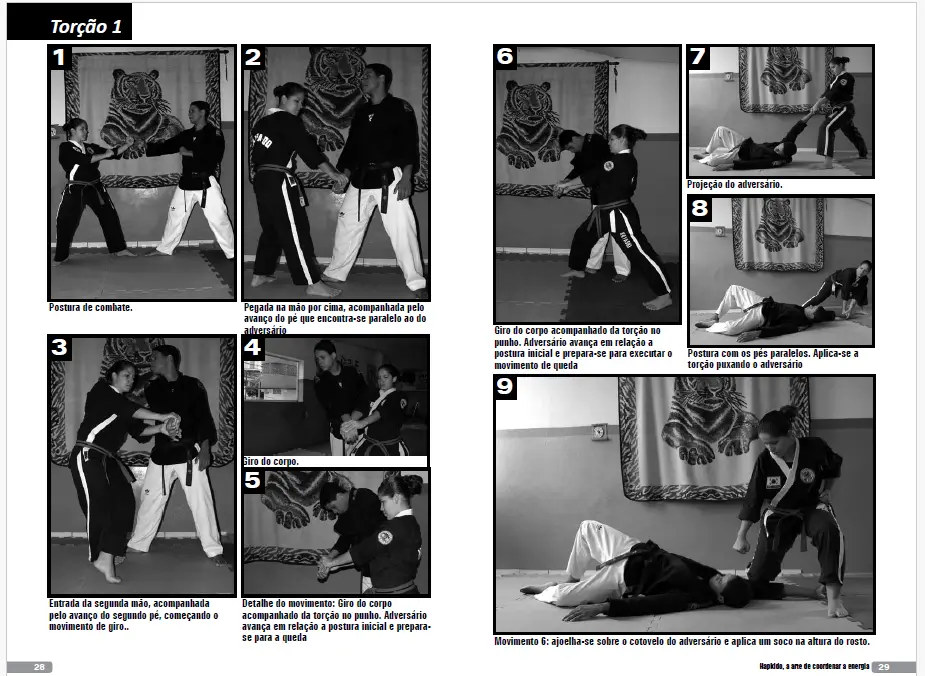 Captura de tela 2025 06 04 154640