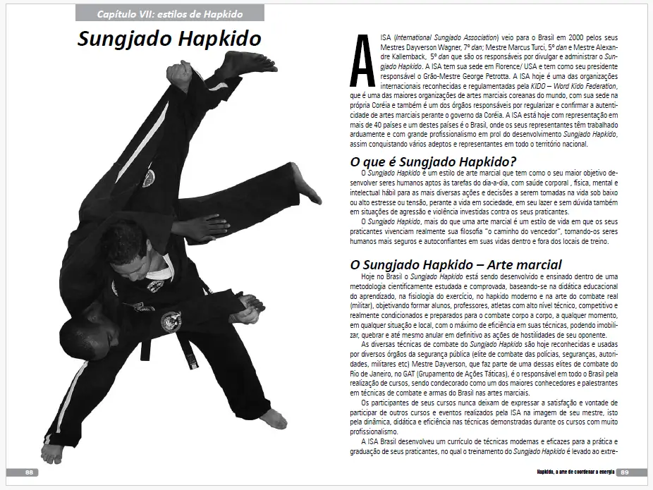 Captura de tela 2025 06 04 154656