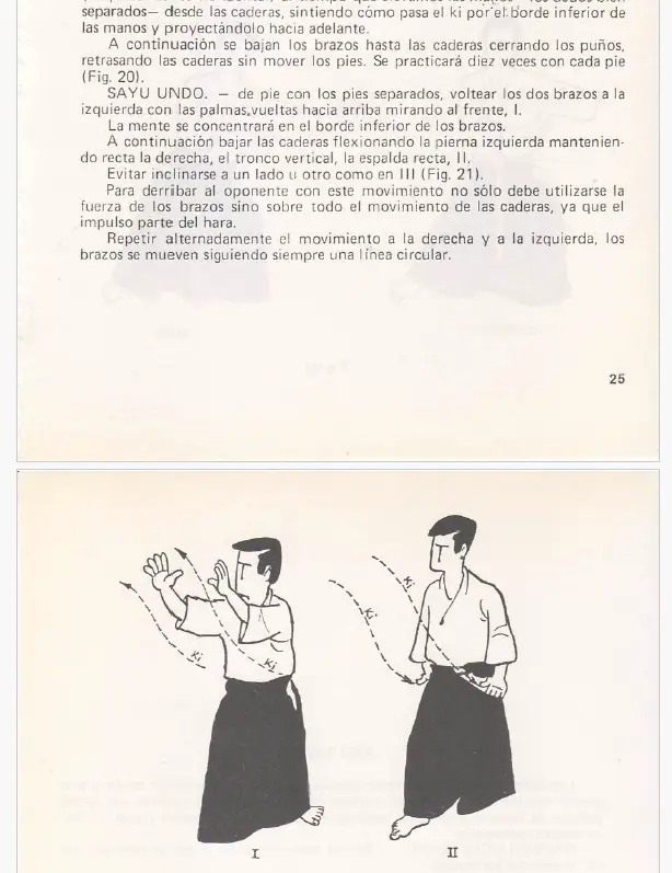 Captura de tela 2025 06 04 155259