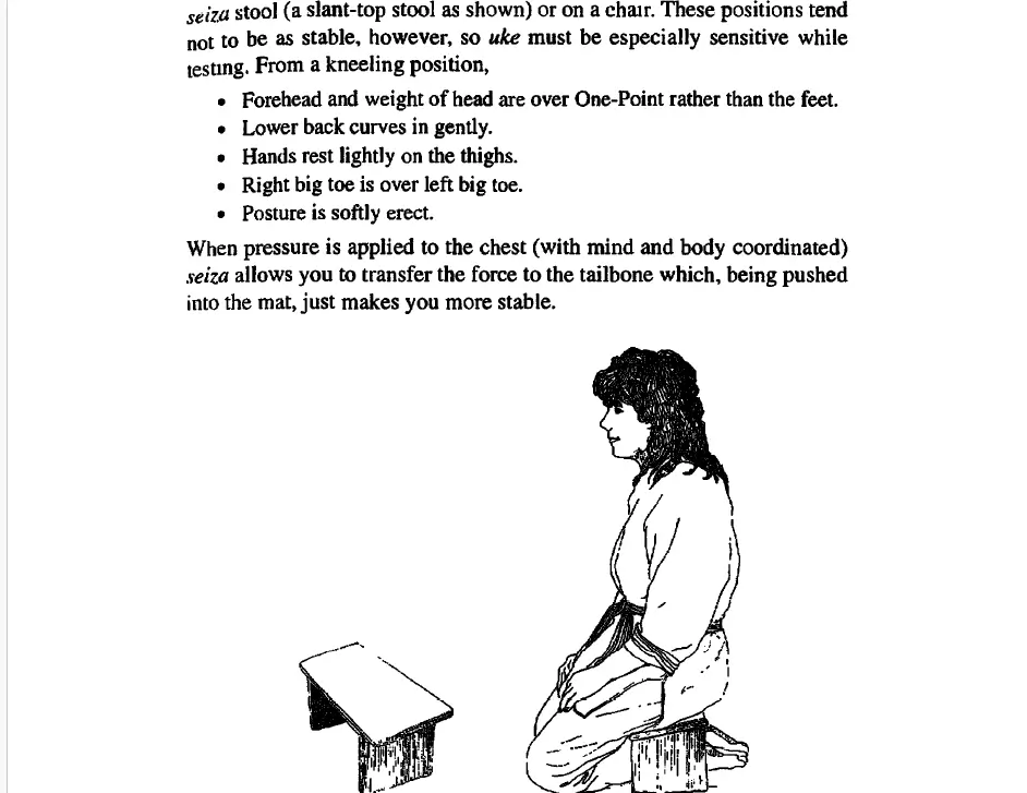 Captura de tela 2025 06 14 104459