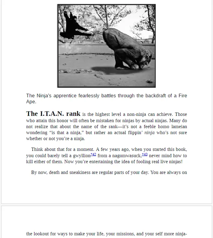 Captura de tela 2025 06 14 113835