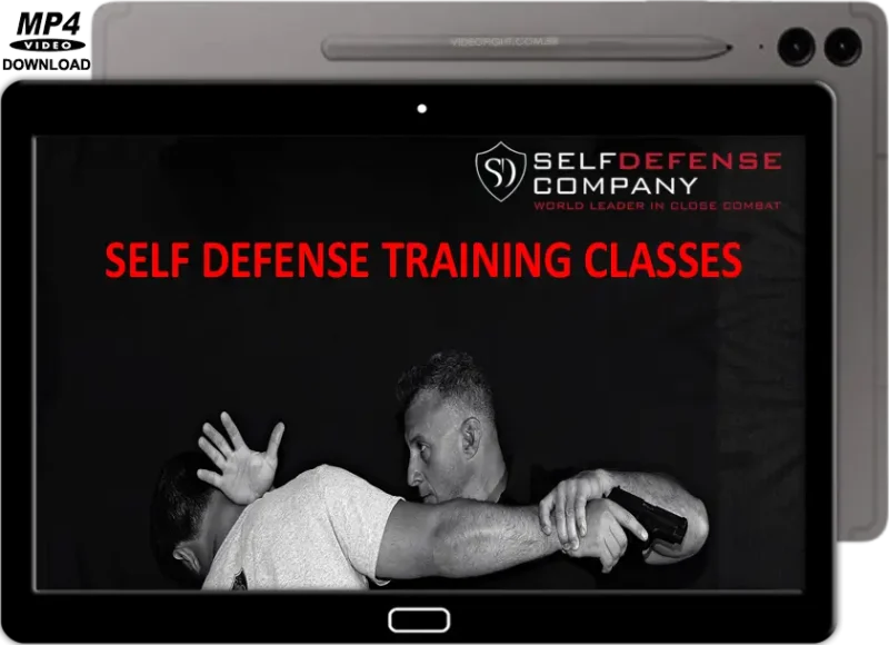 Damian ross self defense training classes