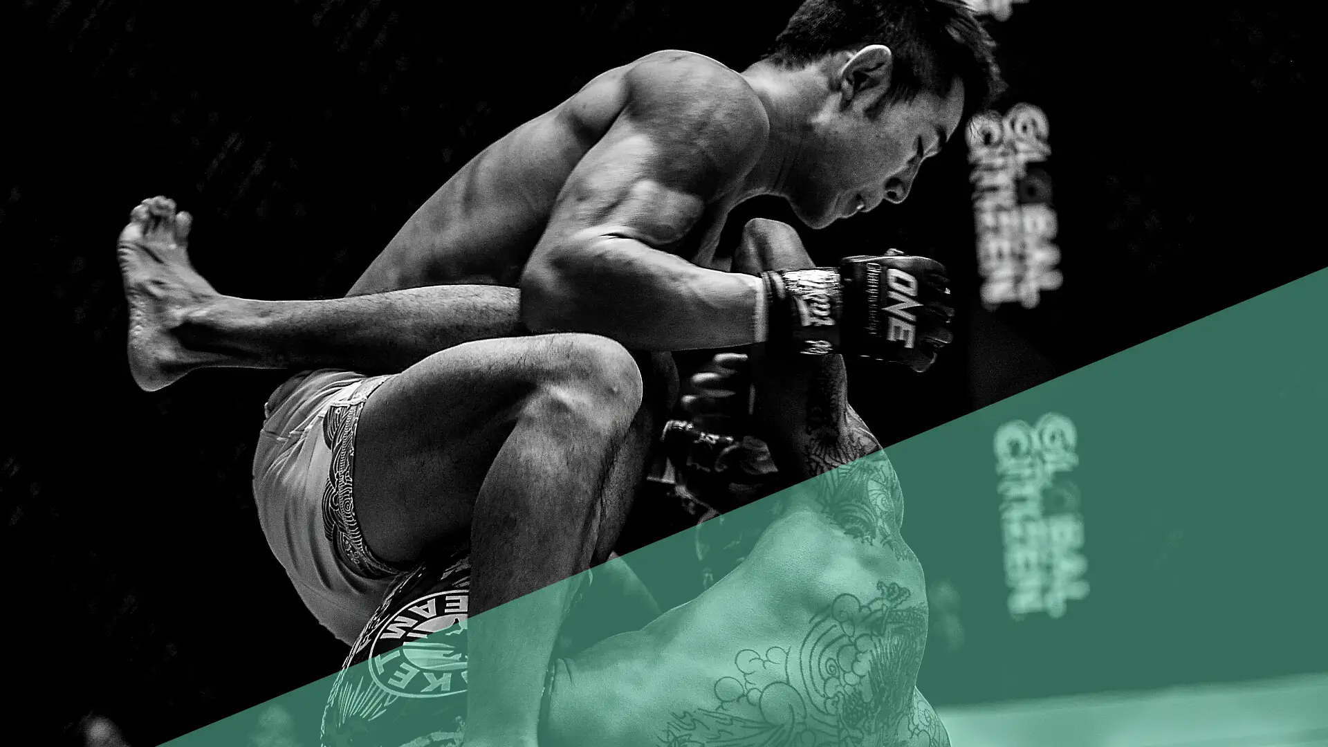 Jeff chan prep to spar & fight cover