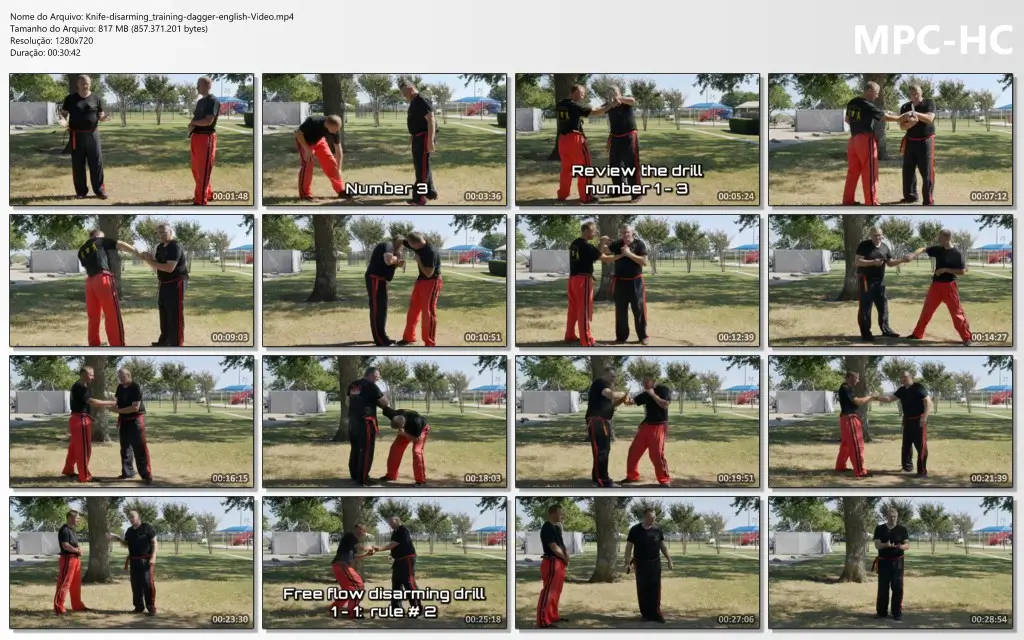 Knife disarming training dagger english video.mp4 thumbs
