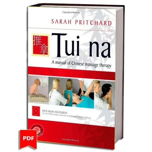 SARAH PRITCHARD TUI NA A MANUAL OF CHINESE MASSAGE THERAPY PDF
