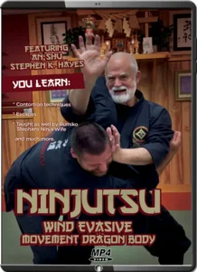 Stephen k. hayes – ninjutsu secrets wind evasive movement dragon body