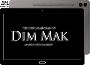 Steven burton fundamentals of dim mak course