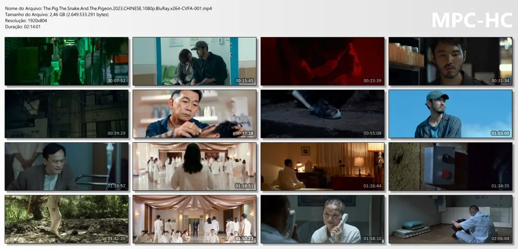 (2023) the pig, the snake and the pigeon ( os trÊs males) mp4