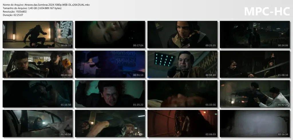 (2024) the shadow strays mp4