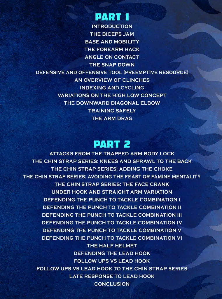 Antedzolic protectyourhead backcover 1024x1024