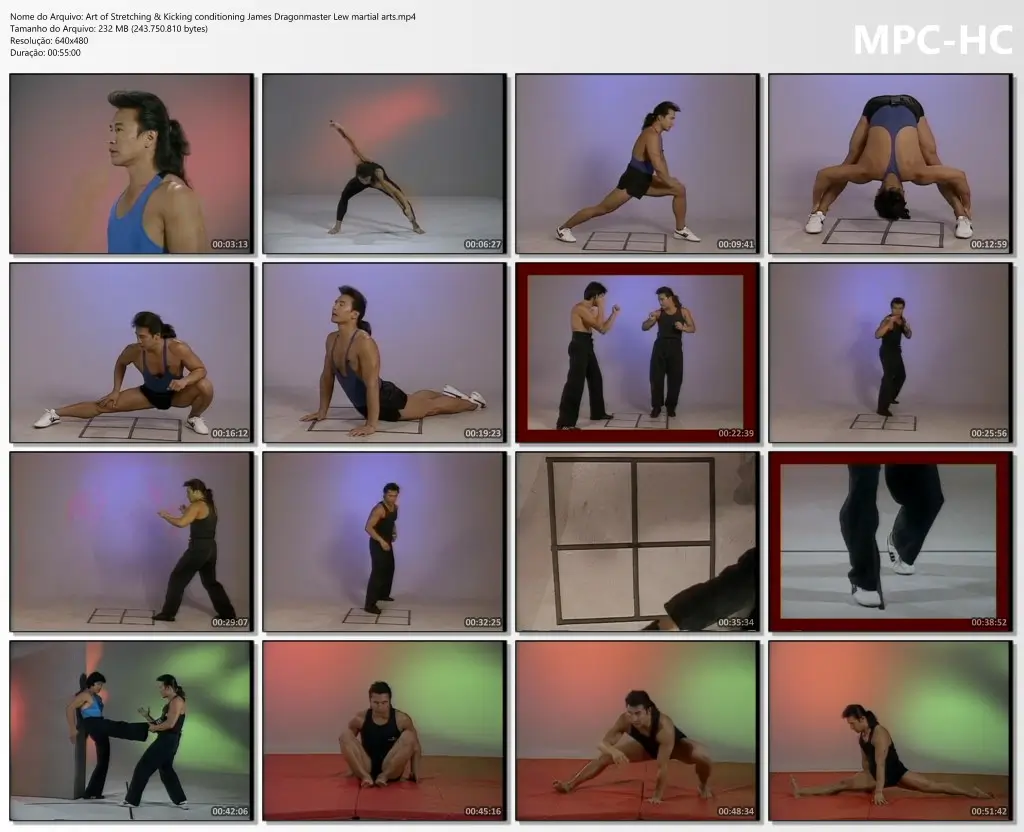 Art of Stretching & Kicking conditioning James Dragonmaster Lew martial arts.mp4 thumbs