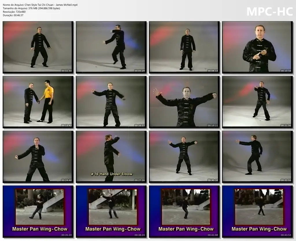 Chen Style Tai Chi Chuan James McNeil.mp4 thumbs
