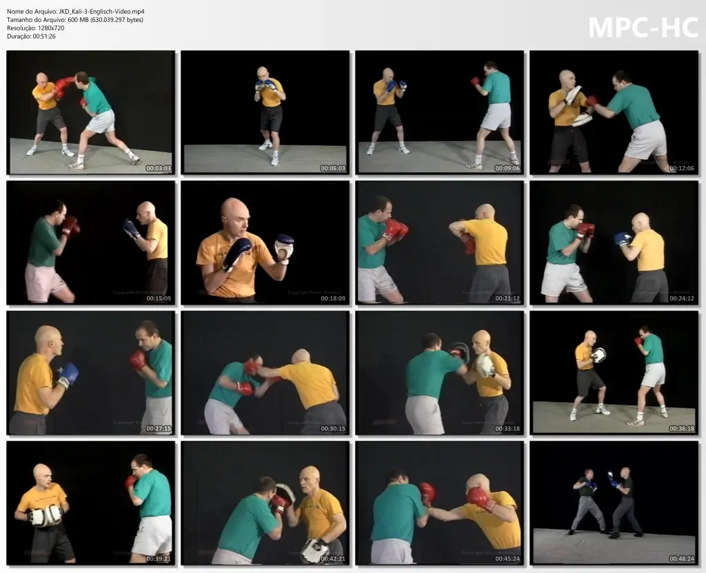 Jkd kali 3 englisch video.mp4 thumbs