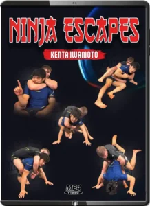 Kenta iwamoto ninja escapes