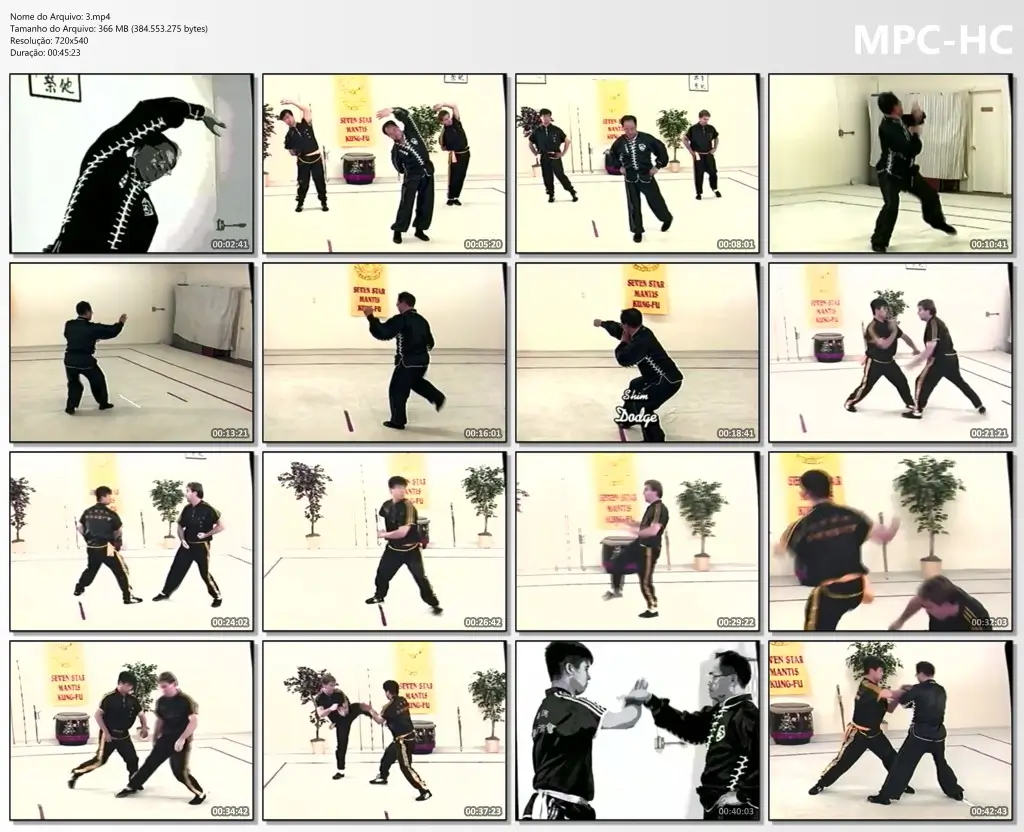 Lee kam wing – northern mantis kung fu 3 – peach flower fist vhs