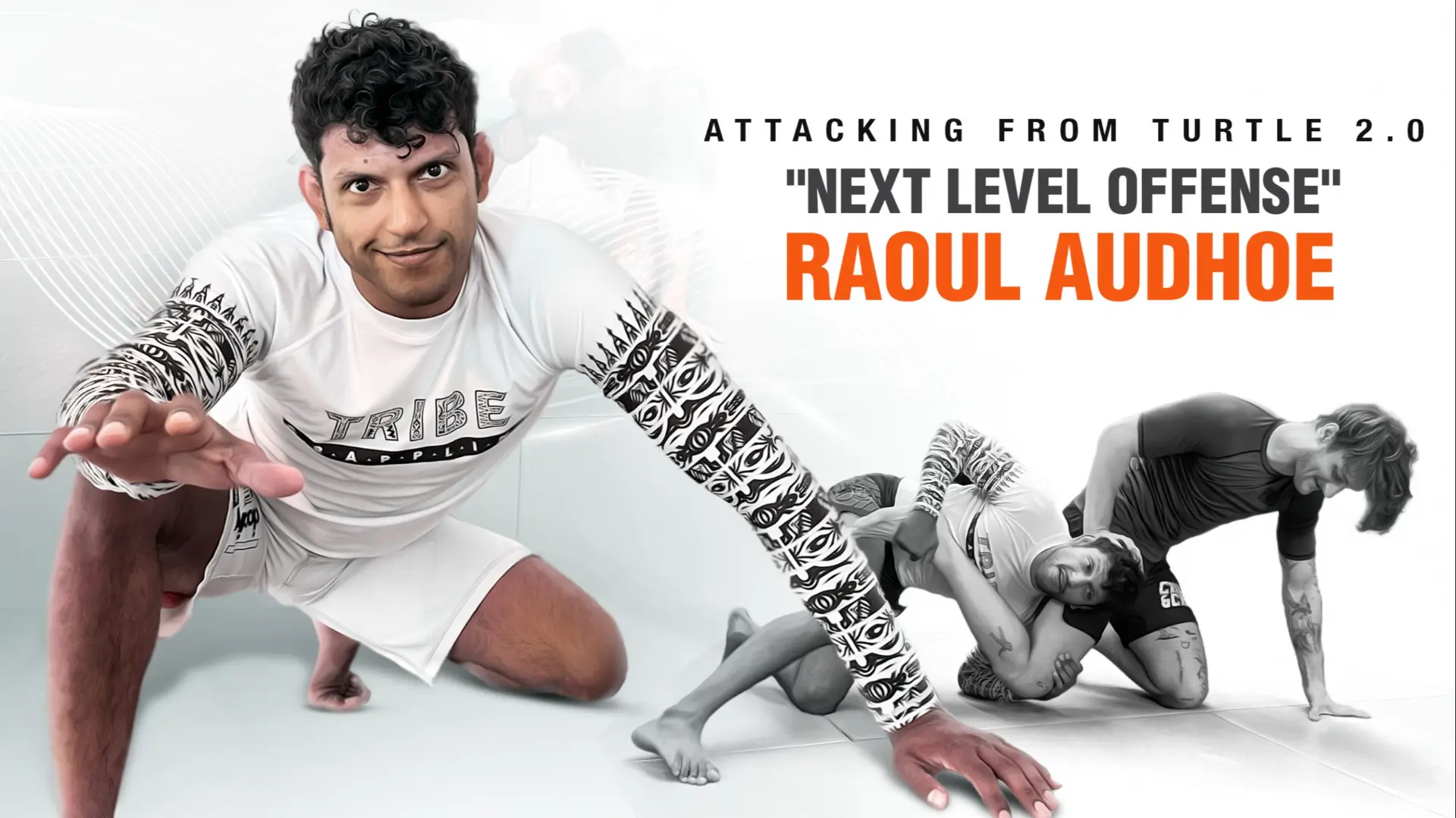 Raoul audhoe attacking from turtle 2.0 cover
