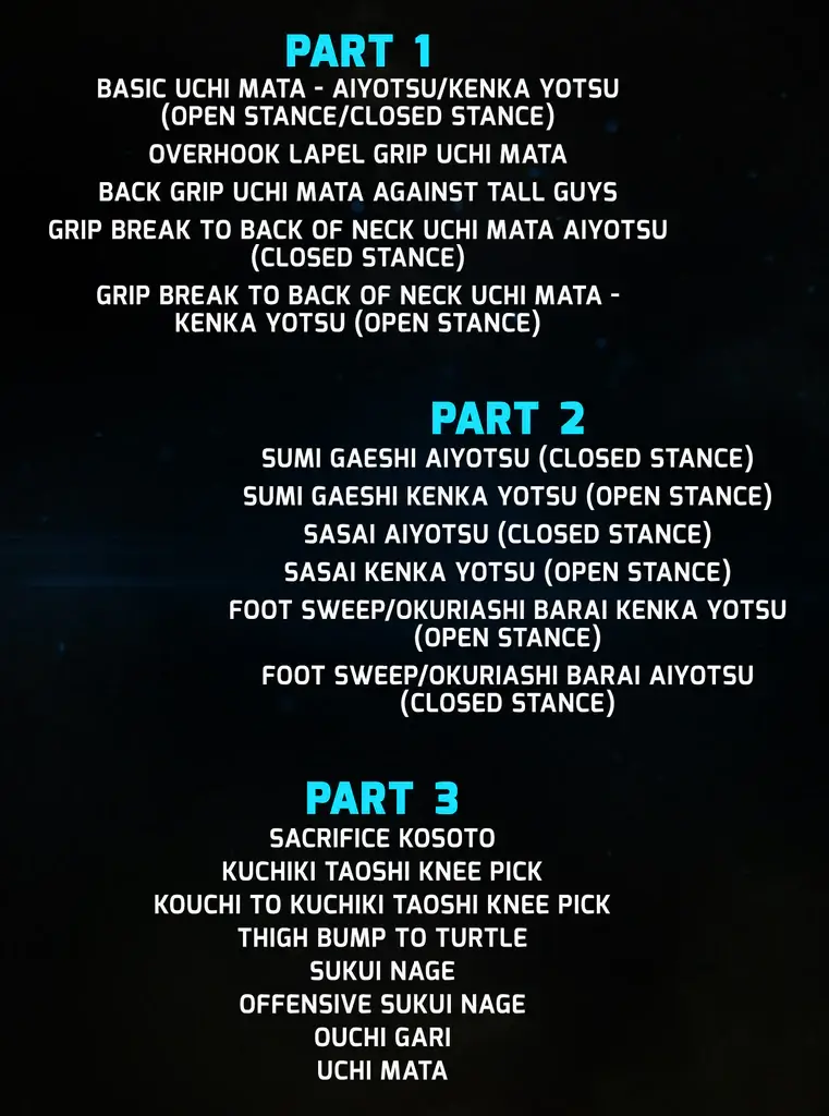 Satoshiishii newwavejudoforbjj coverback 1024x1024