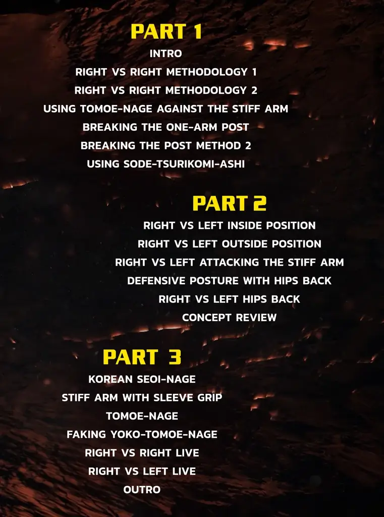 Shintarohigashi breakingthroughthejudostiffarm backcover 1024x1024