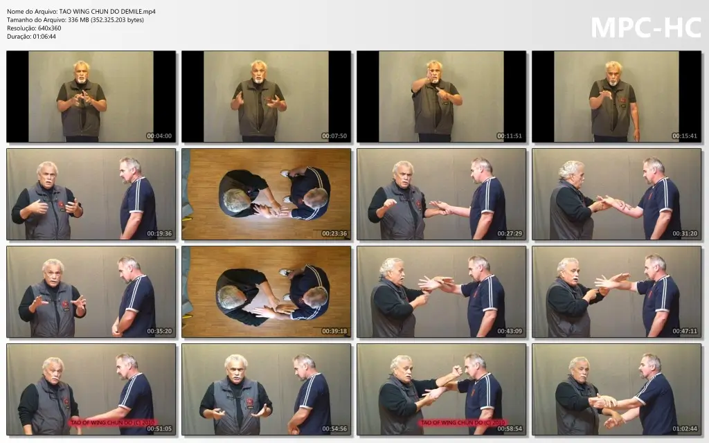 Tao wing chun do demile.mp4 thumbs