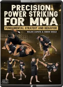 Waldo zapata & simon skold precision power striking for mma