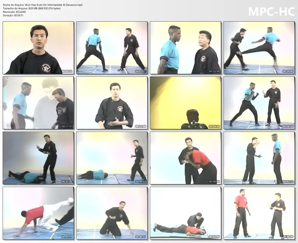 Wun hop kuen do intermediate al dacascos.mp4 thumbs