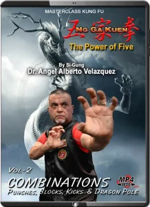 Angel velazquez ng ga kuen kung fu vol.02 combinations