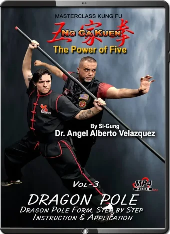 Angel velazquez ng ga kuen kung fu vol.03 dragon pole