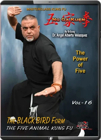 Angel velazquez ng ga kuen kung fu vol.16 black bird form