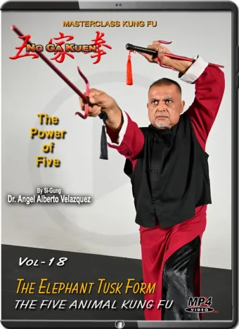 Angel velazquez ng ga kuen kung fu vol.18 the elefhant tusk (sai) form