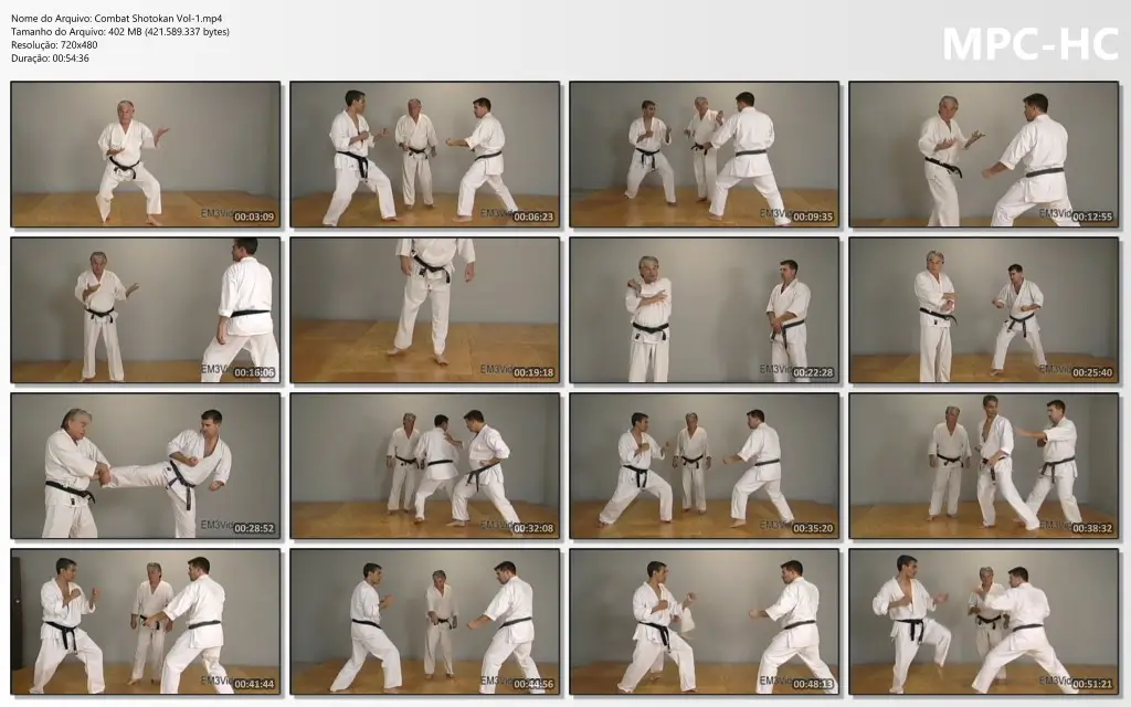 Combat Shotokan Vol 1.mp4 thumbs