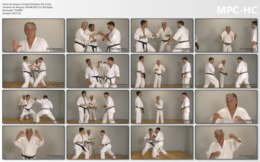 Combat Shotokan Vol 2.mp4 thumbs