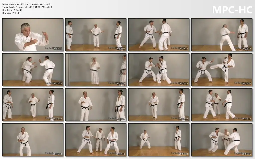 Combat Shotokan Vol 3.mp4 thumbs