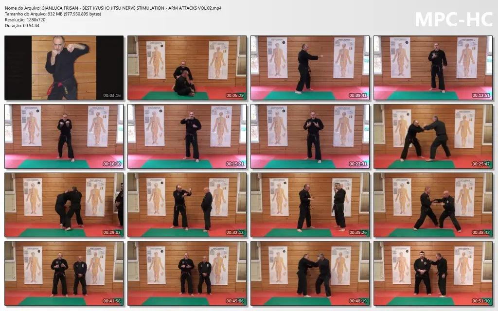GIANLUCA FRISAN BEST KYUSHO JITSU NERVE STIMULATION ARM ATTACKS VOL.02.mp4 thumbs