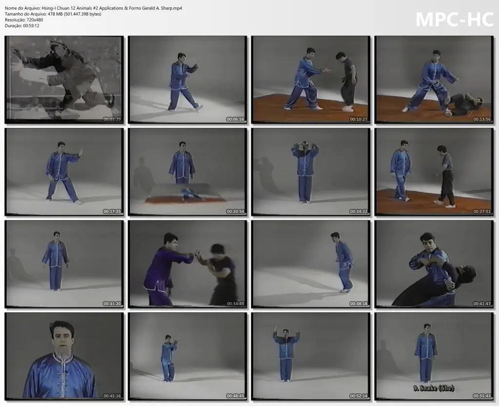 Hsing I Chuan 12 Animals #2 Applications & Forms Gerald A. Sharp.mp4 thumbs