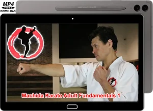 Machida karate adult fudamental 1