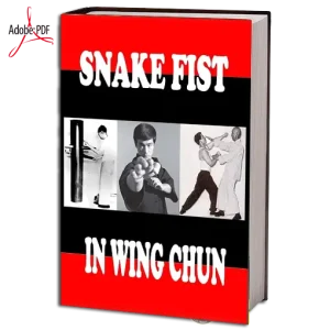 Snake fist in wing chun