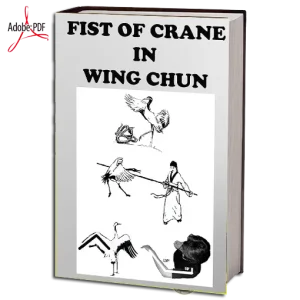 The crane fist in wing chun